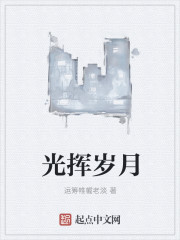 光挥岁月