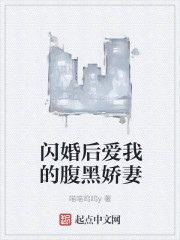 闪婚后爱我的腹黑娇妻