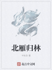 北雁归林
